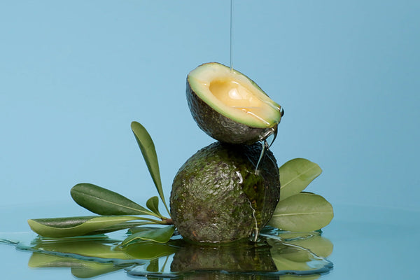 Avocados on a light blue background