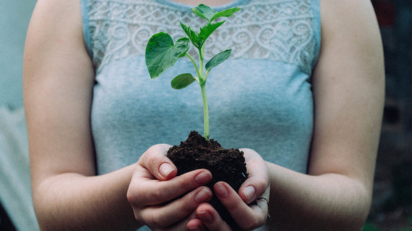 Woman holding a plant in her hands